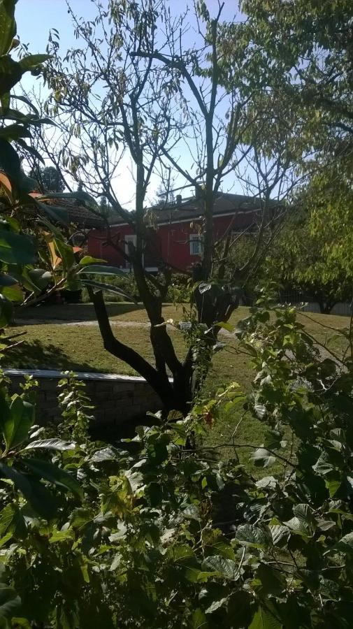 'L Sass Bed & Breakfast Borgomanero Exterior photo