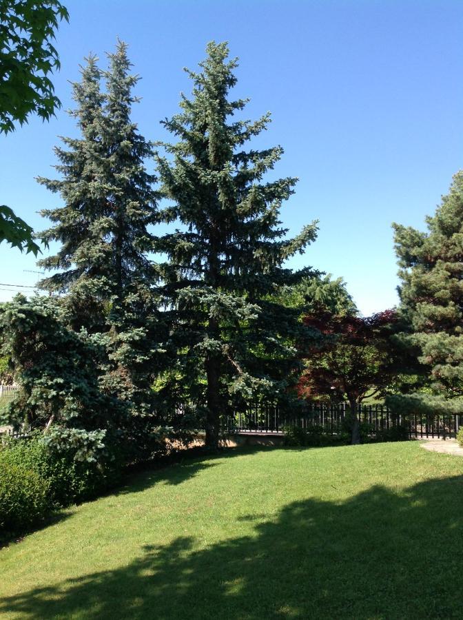 'L Sass Bed & Breakfast Borgomanero Exterior photo